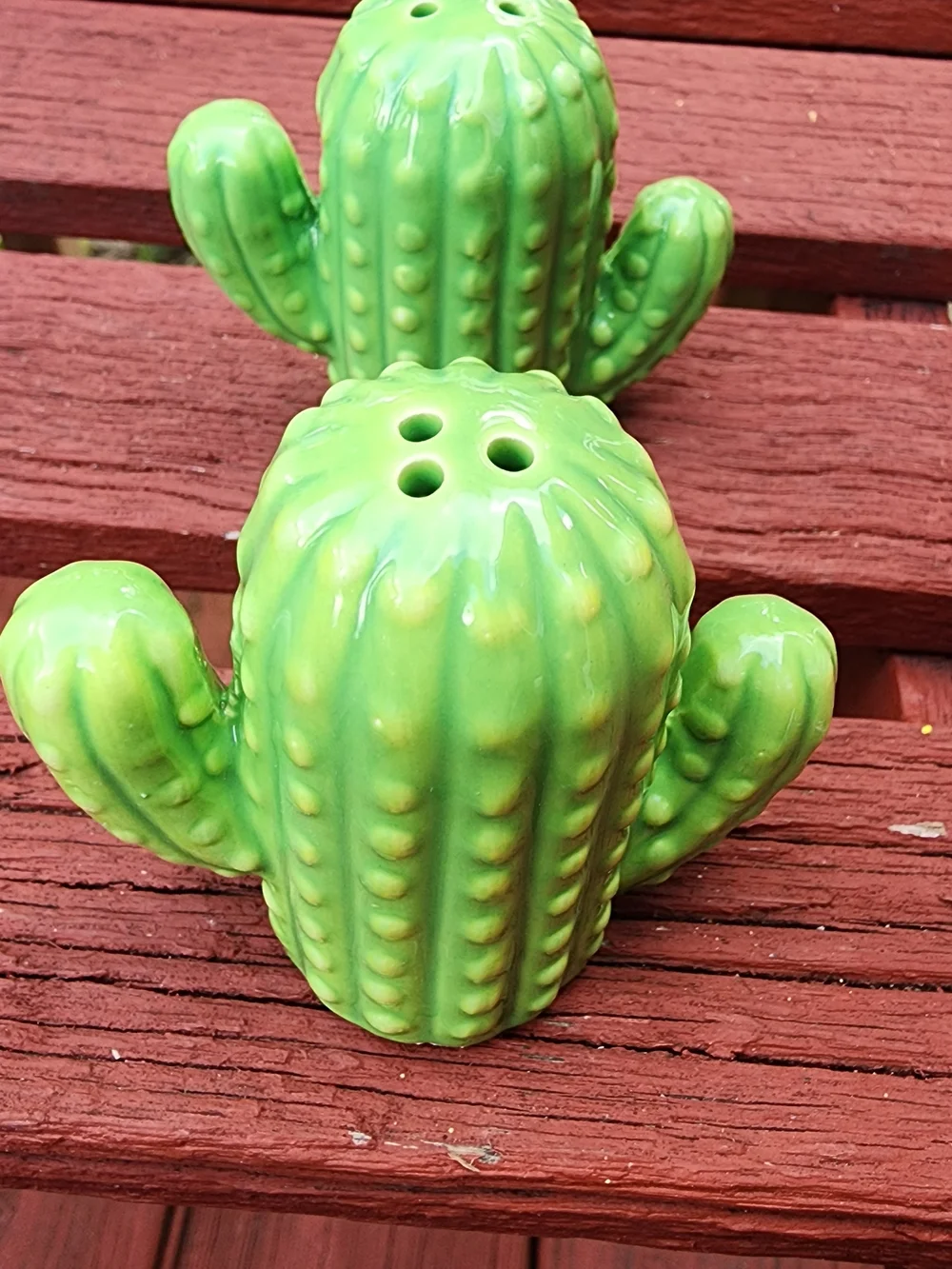 Green Cactus Ceramic Salt and Pepper Shakers